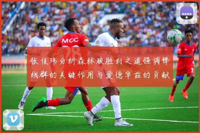 张佳玮分析森林狼胜利之道强调锋线群的关键作用与爱德华兹的贡献