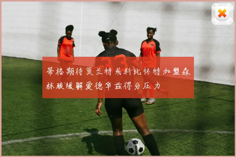 蒂格期待莫兰特或科比怀特加盟森林狼缓解爱德华兹得分压力