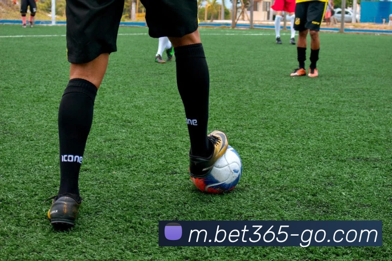 数据分析功能